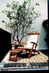 Kim Yam Road (D9), Detached #600229381